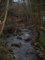 Galerie Über den Aloys-Brinkmann-Weg zum Wildgehege anzeigen